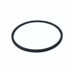 1603978 O-RING