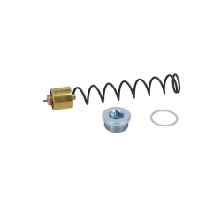 1870860  OIL THERMOSTAT