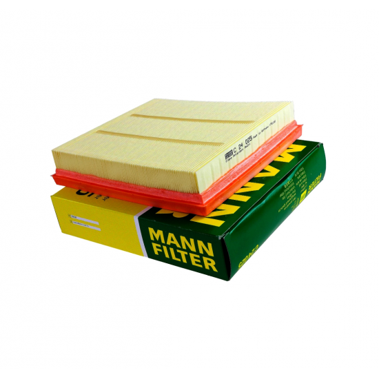 C24025 AIR FILTER