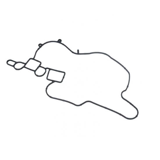 1412878  Gasket timing case