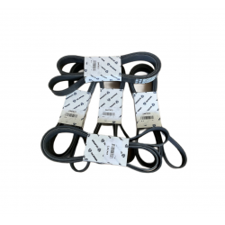 2447572  V-BELT
