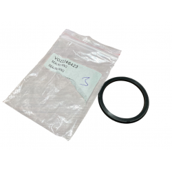 22246423 SEALING RING
