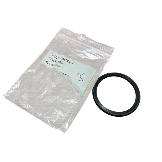 22246423 SEALING RING