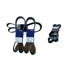 23809622 V-RIBBED BELT