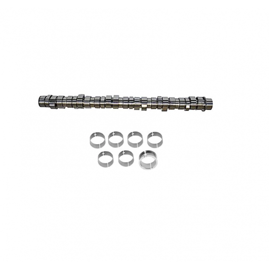23289165 CAMSHAFT AND BEARING KIT 23289165 CAMSHAFT AND BEARING KIT