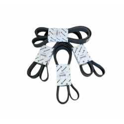 1920231 POLY V-BELT 