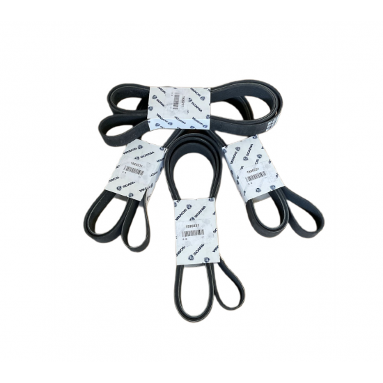 1920231 POLY V-BELT